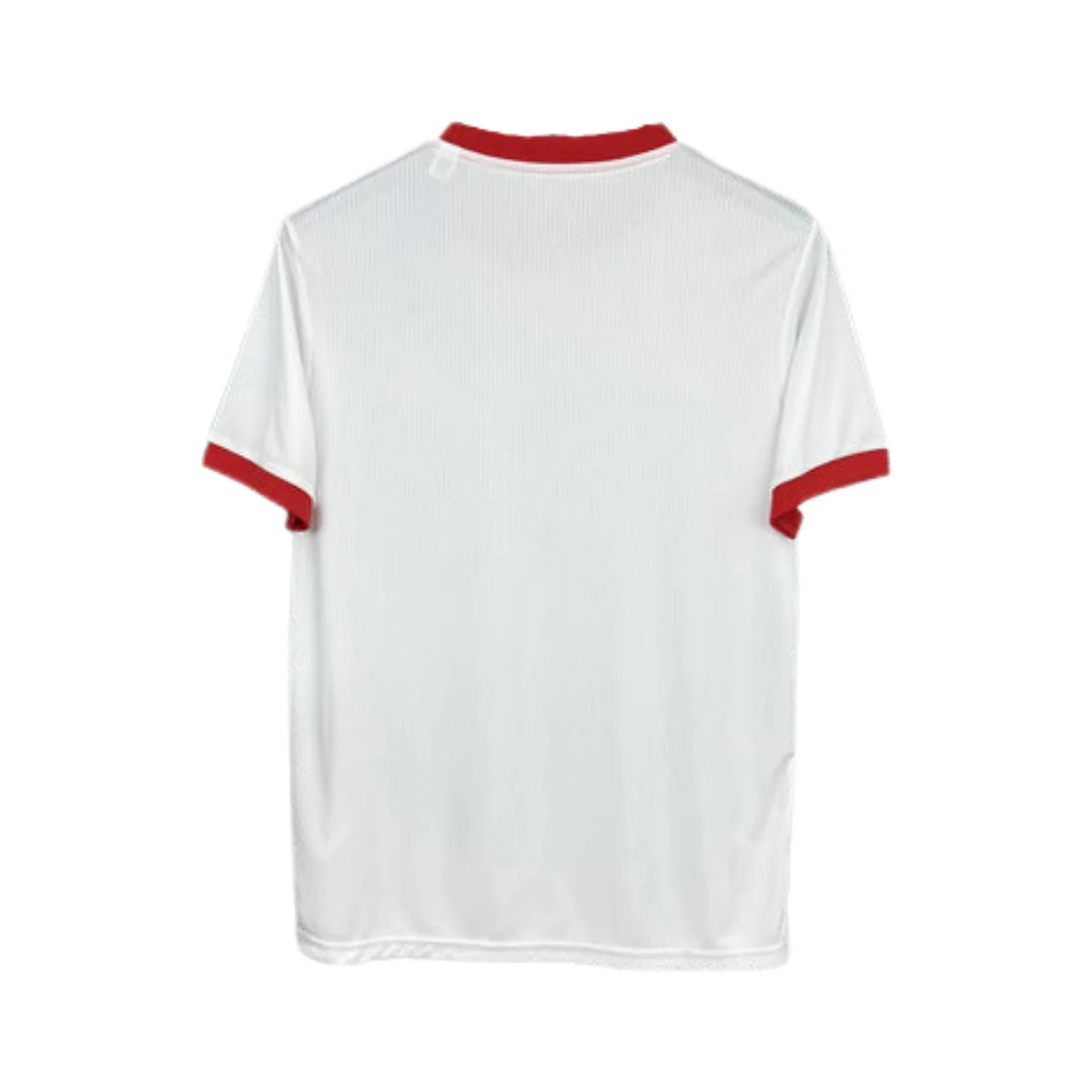 Jersey Benfica Special Edition - 25/26