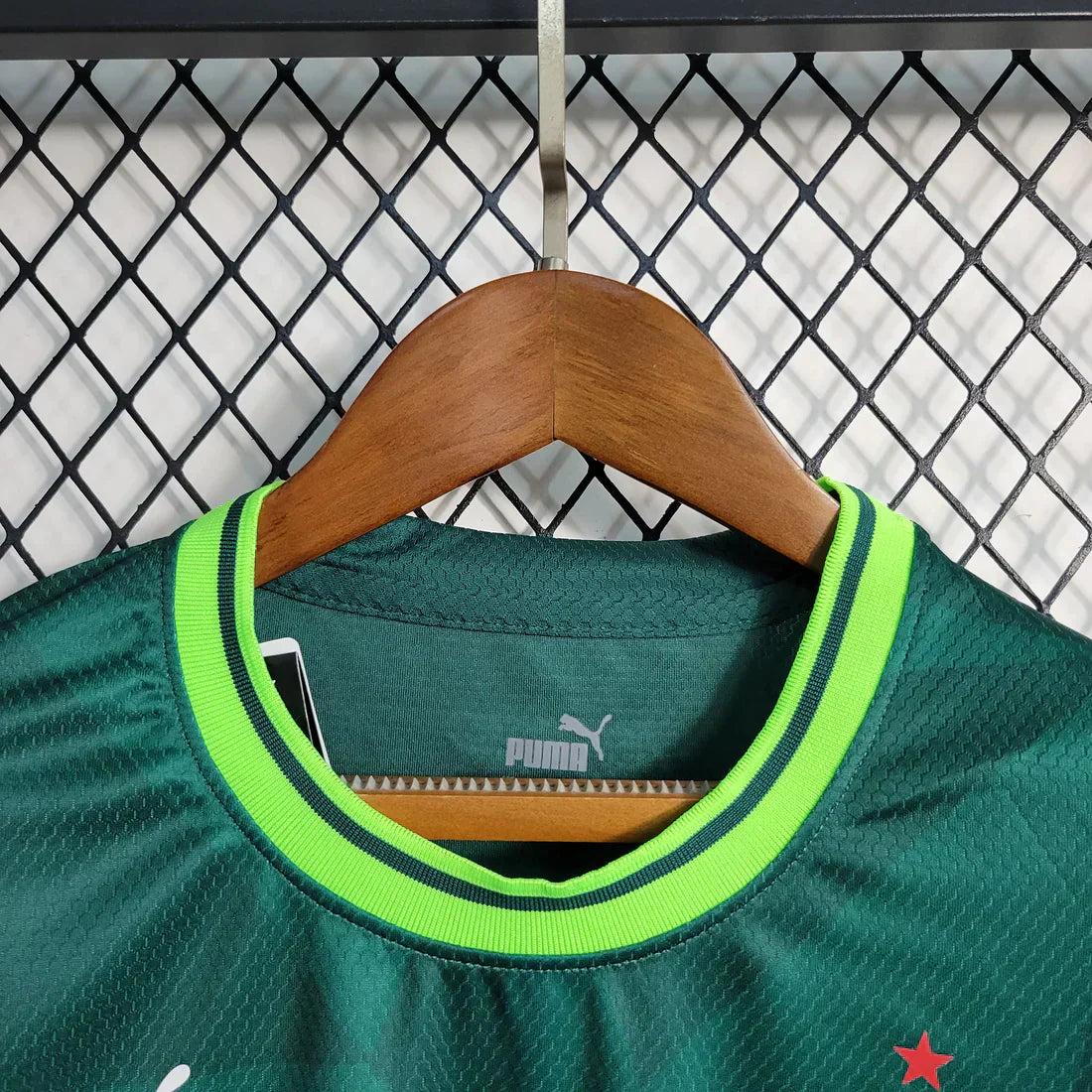 Women´s Shirt Palmeiras I 23/24 - Green