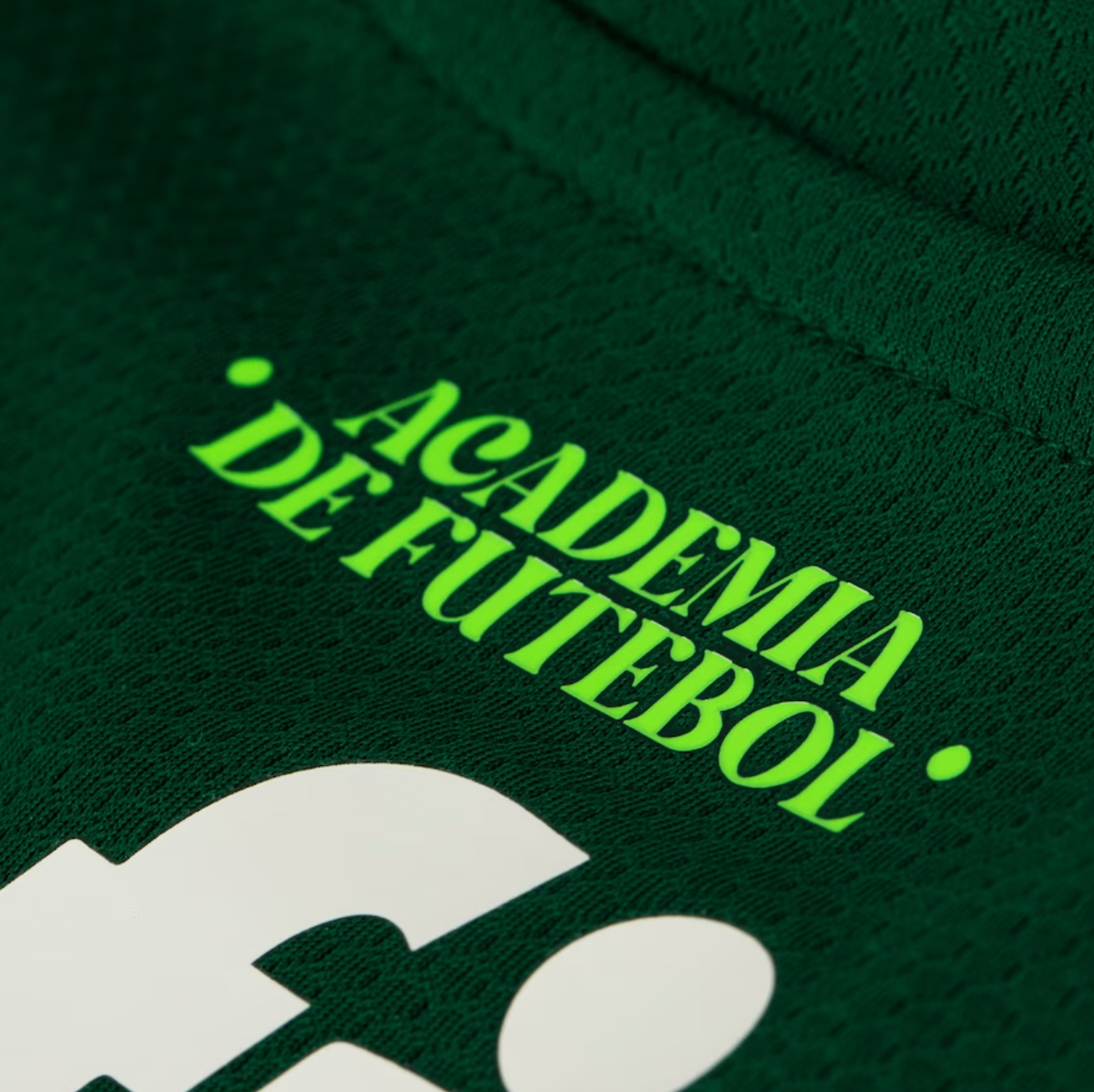 Jersey Palmeiras I 23/24 - Green