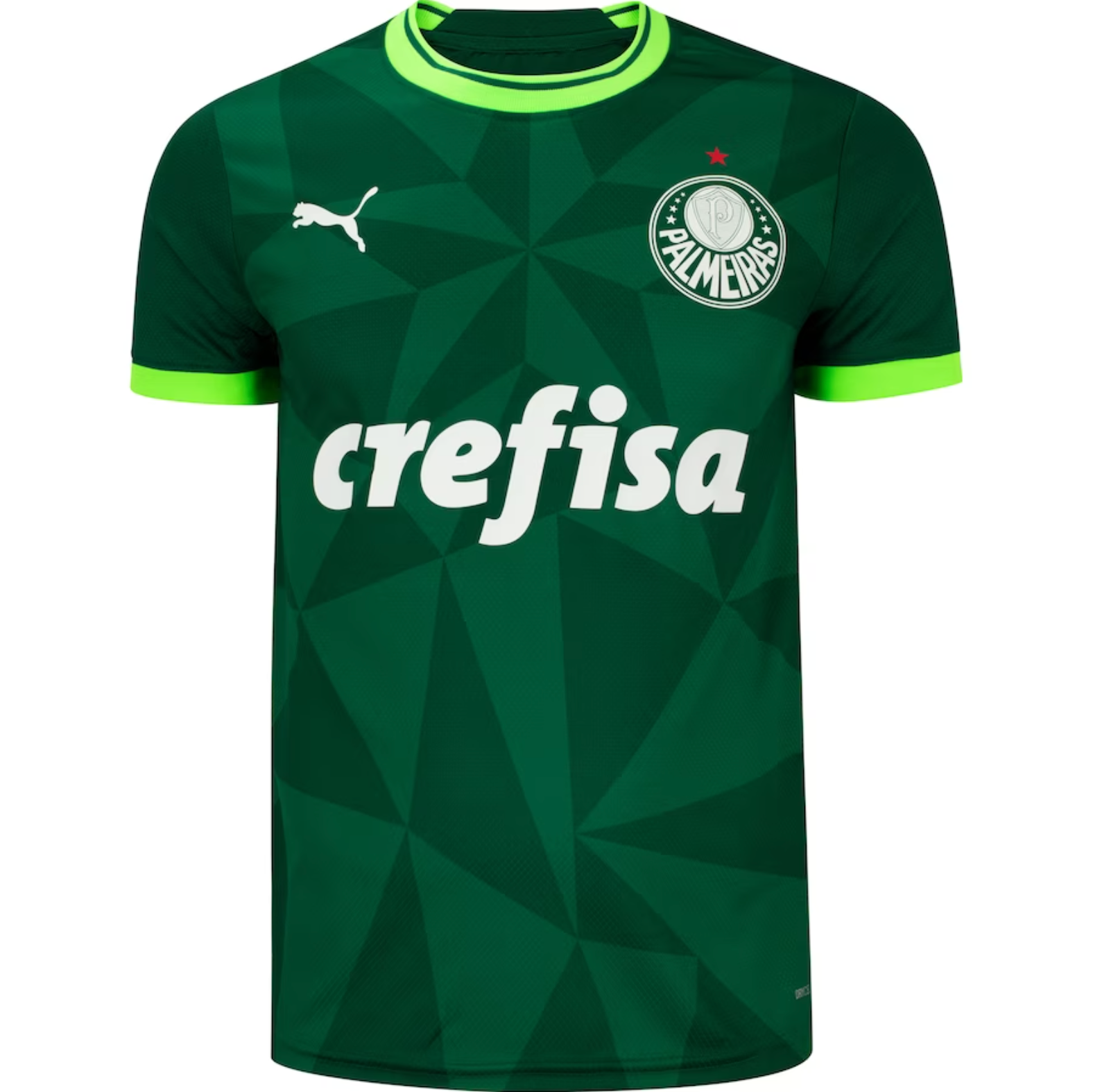Jersey Palmeiras I 23/24 - Green