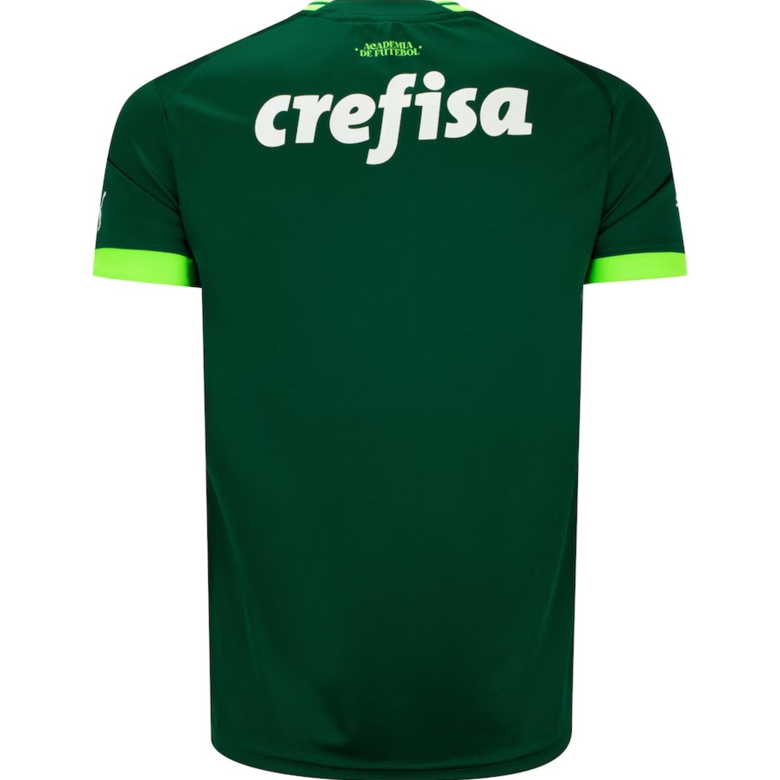 Jersey Palmeiras I 23/24 - Green