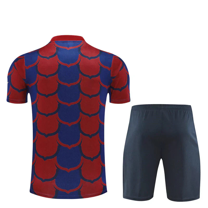 Jersey and Short Barcelona 24/25 - Pre-match