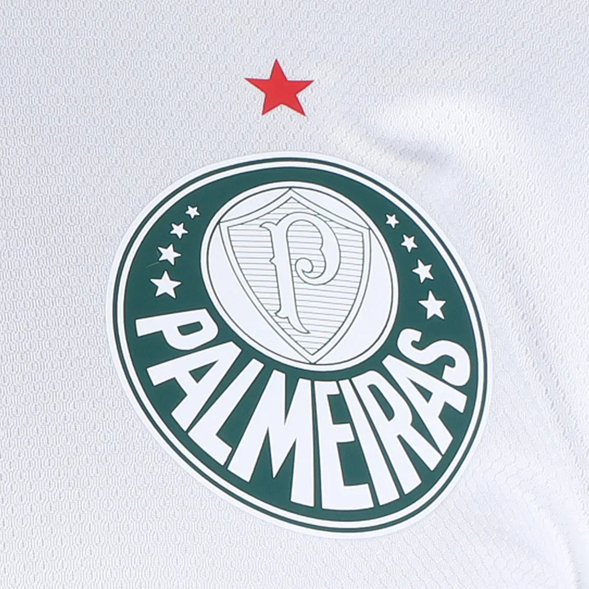 Jersey Palmeiras II 23/24 - White