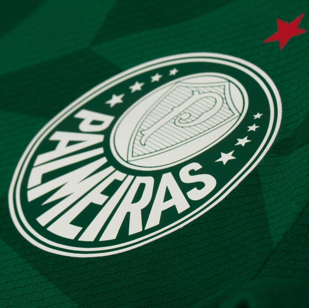 Jersey Palmeiras I 23/24 - Green