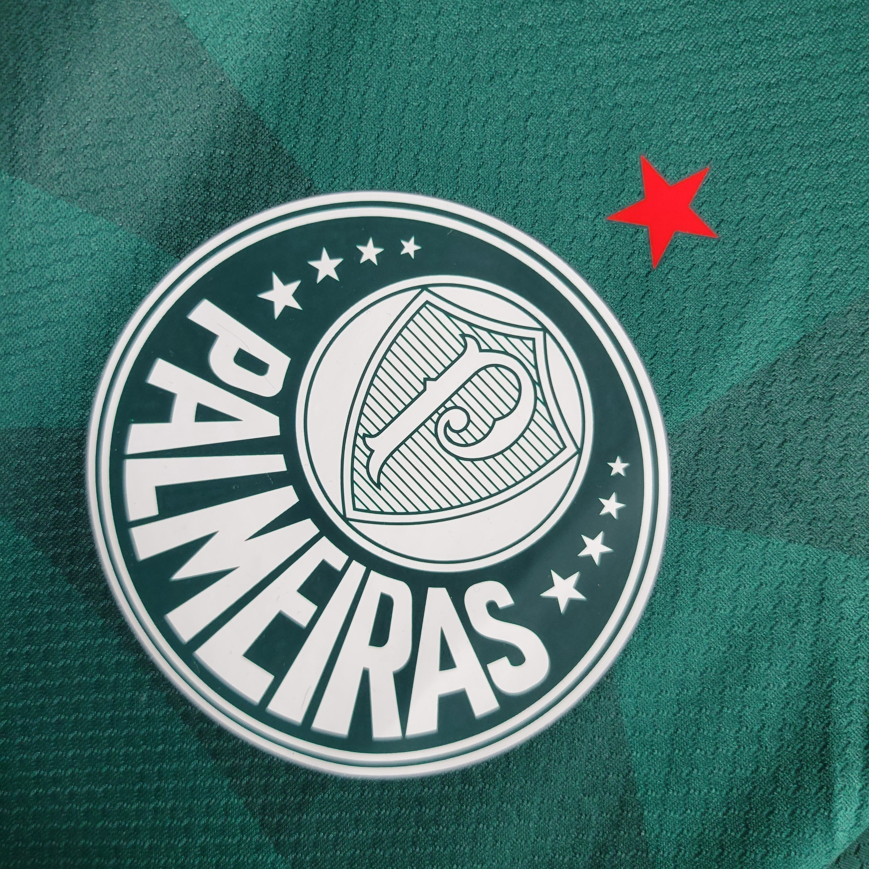 Jersey Long Sleeve Palmeiras I 23/24 - Green