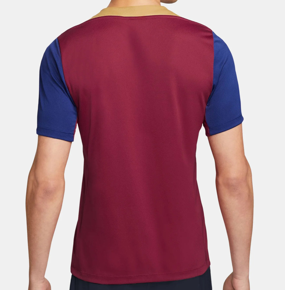 Jersey Treino Barcelona 23/24