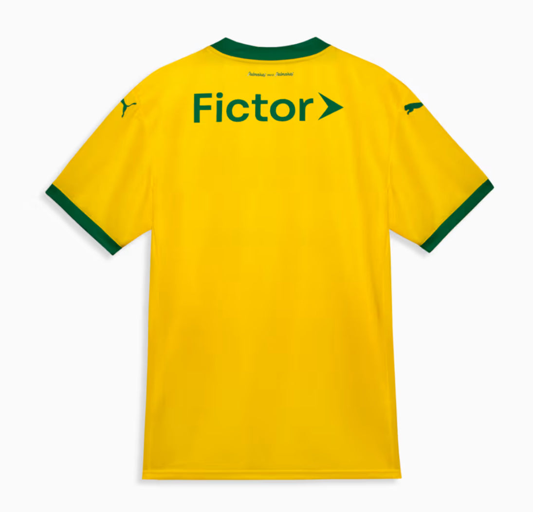 Jersey Palmeiras III 25/26