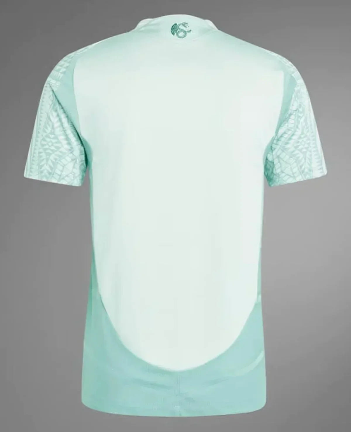 Jersey Selection México II 24/25 - Green