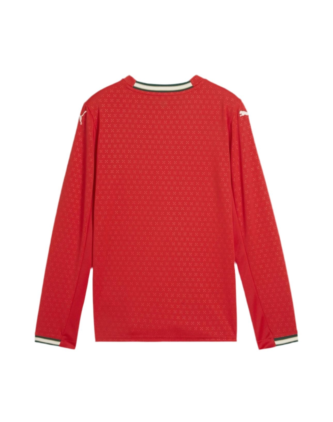 Jersey Long Sleeve Portugal I 2025