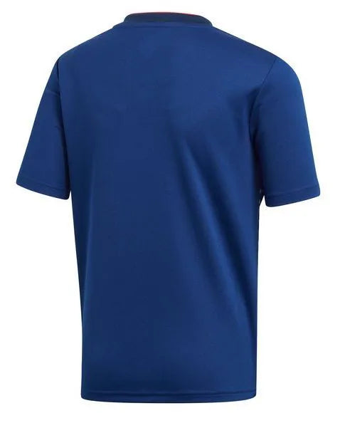 Jersey Selection Japan 2019