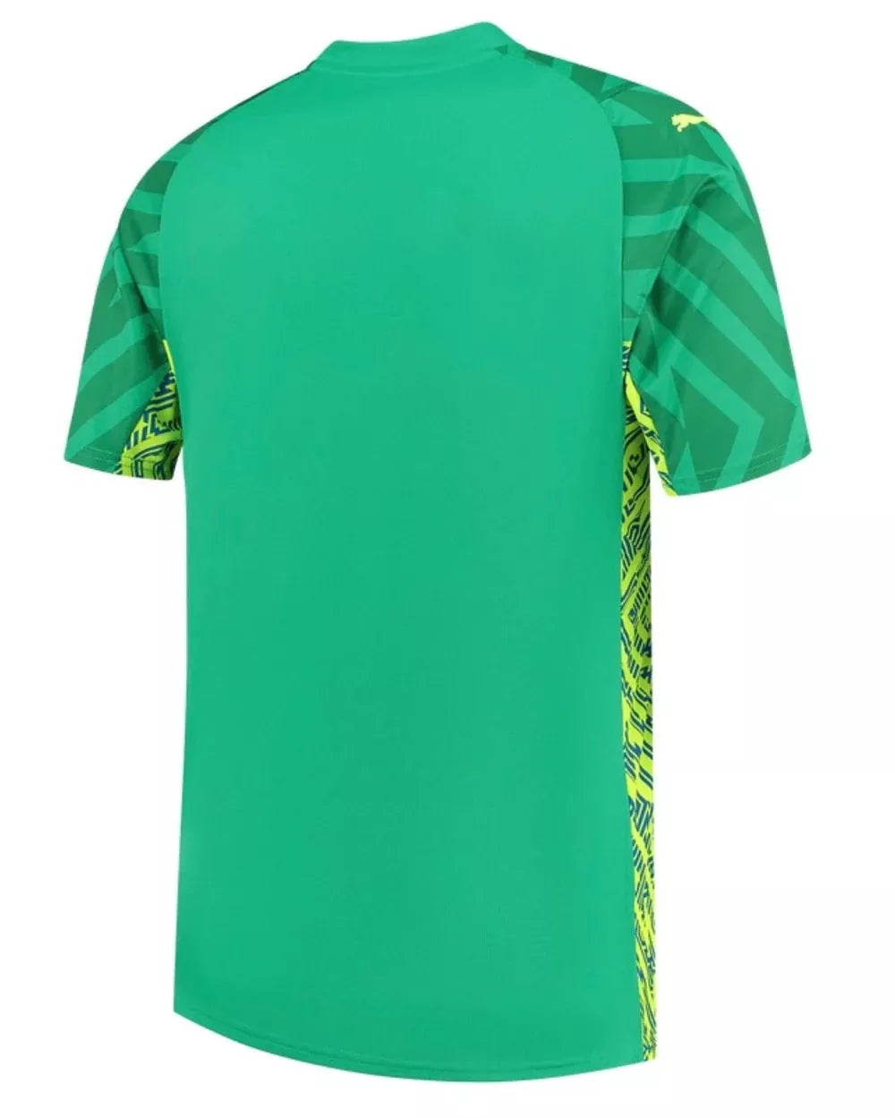 Jersey Manchester City Goalkeeper 23/24 - Green